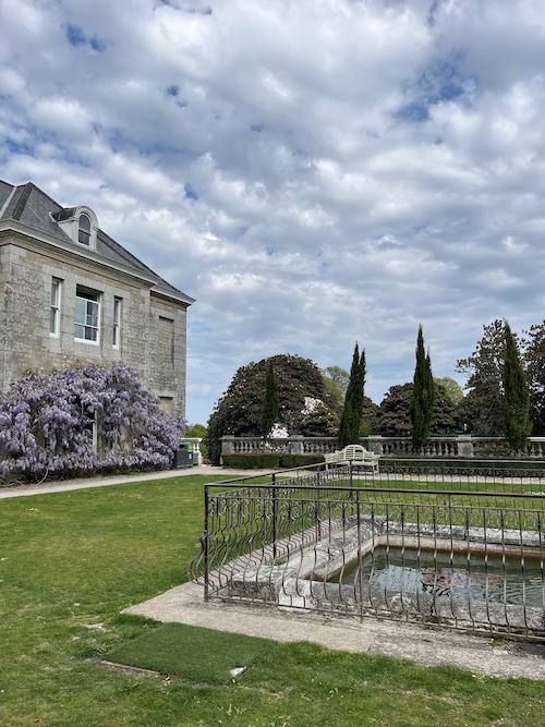 An old building with wisteria flowers on the wall, next to a fish pond and grass