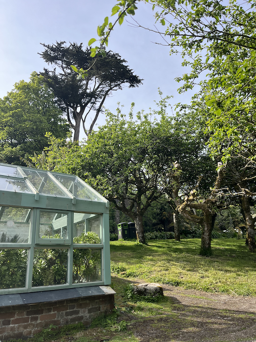 A pretty greenhouse surrounded by trees and grass in the sun