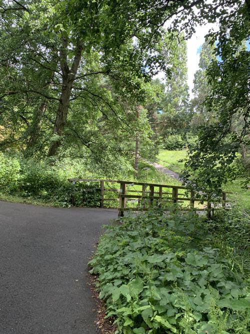 A scenic wooded area near East Park on campus.