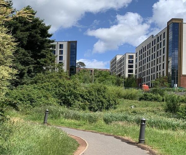 The Ultimate Beginners Guide: Everything You Need to Know When Preparing for Exeter University
