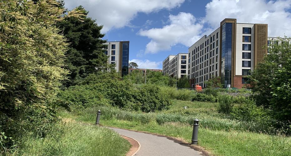 The Ultimate Beginners Guide: Everything You Need to Know When Preparing for Exeter University