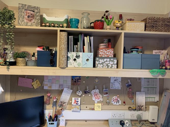My desk space in Lafrowda, personalised with artworks and plants amongst other decor. 