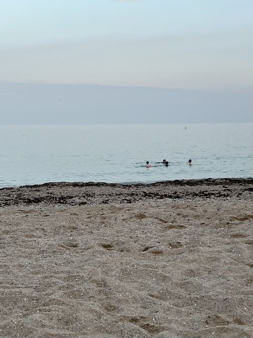 A beach with four people in the distance swimming in the sea