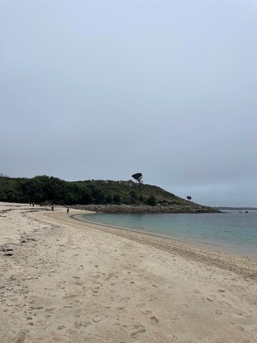 Beach with headland behind filled with shrubs and trees. Some people walking on the beach.