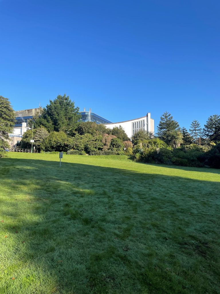 Grassy area with trees behind and the campus buildings in the background.