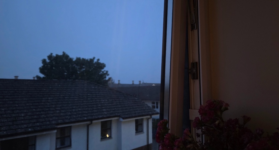 evenings during the summer 