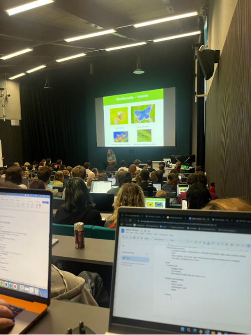 View of a lecture theatre with laptop screen and other students.