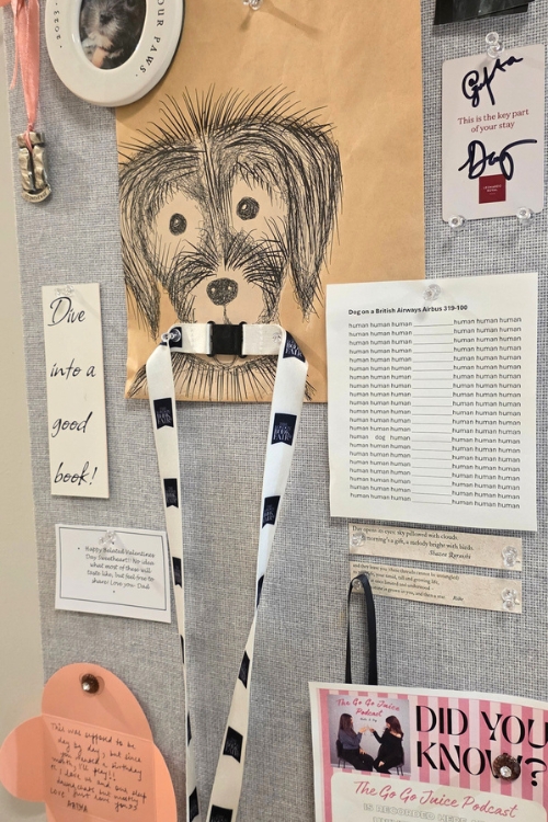 Assortment of items on pinboard