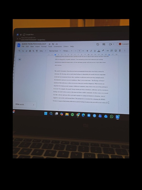 essays 