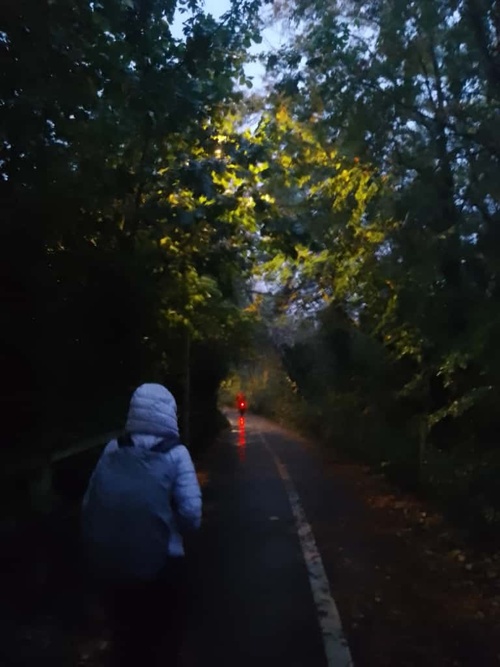solo walks 
