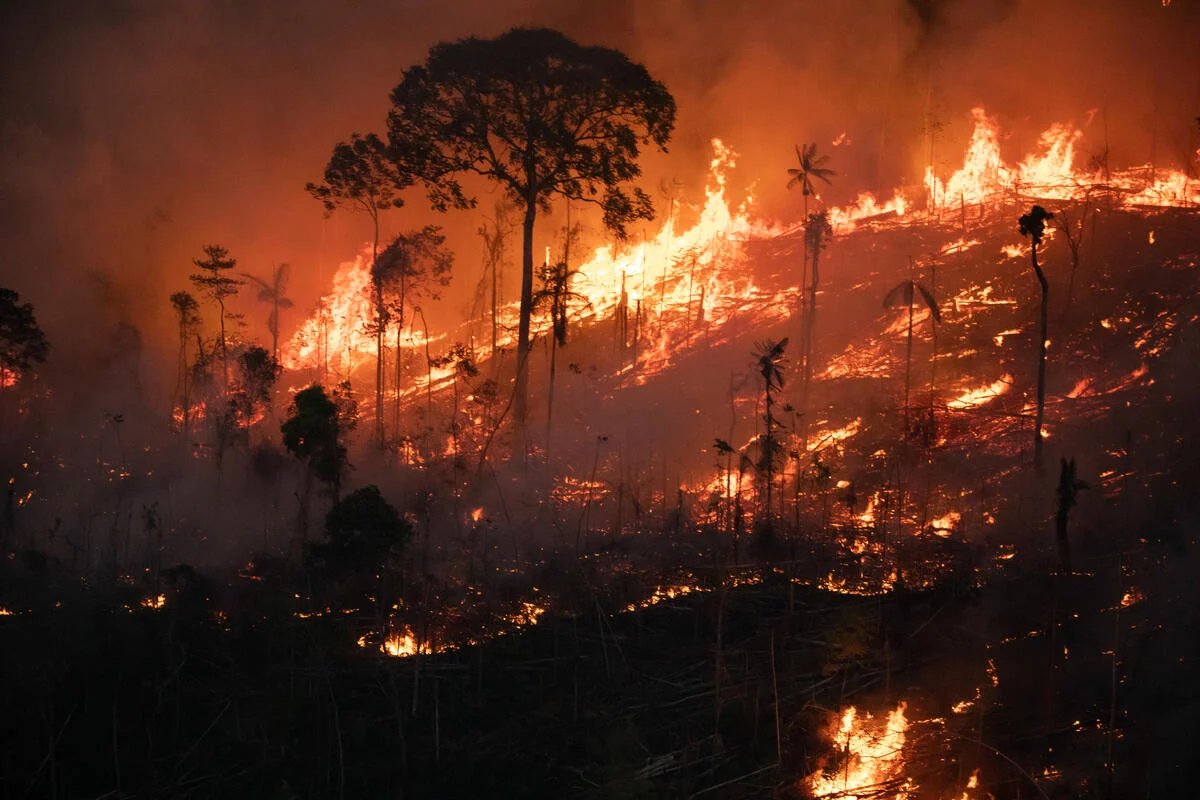 Post-doc to model soil carbon and fire in tropical forests