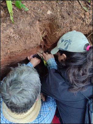 Researchers collecting soil samples from a soil profile during Amazon PyroCarbon fieldwork
