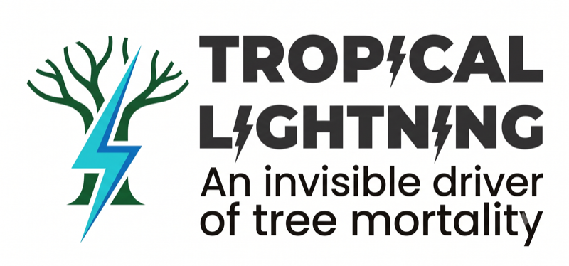 Tropical Lightning project logo