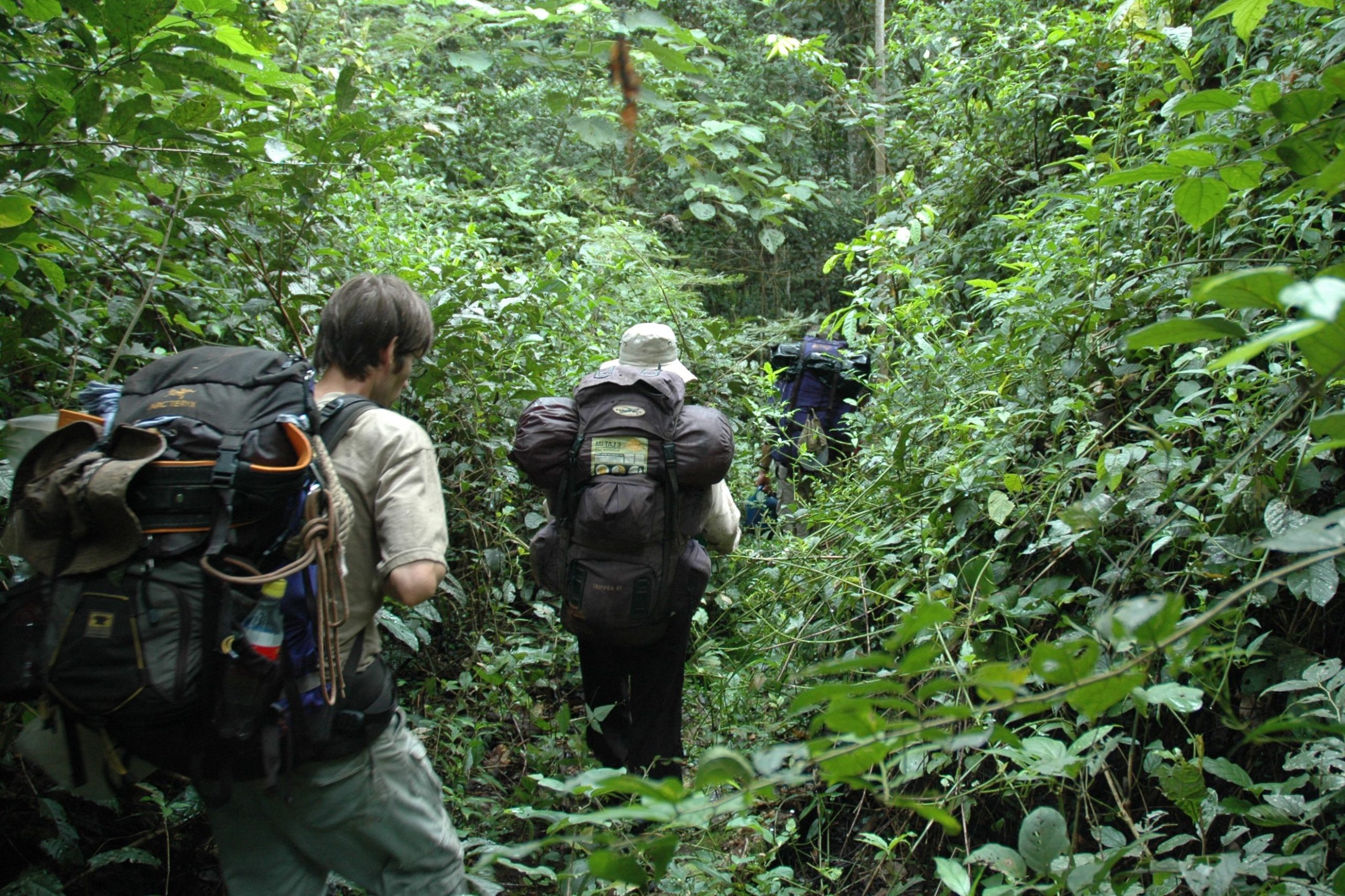 Forest research fieldwork in Amazonia