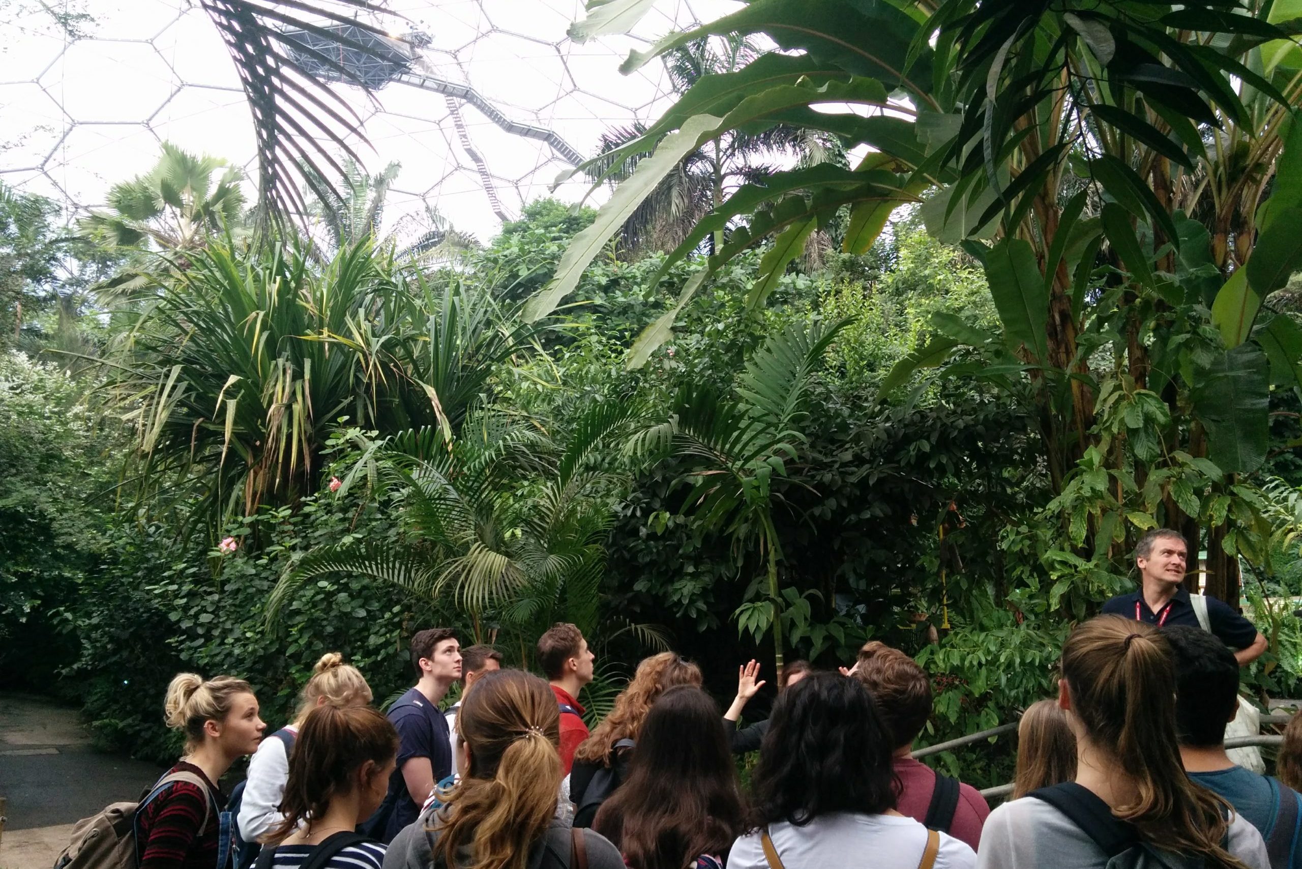 Teaching students at the Eden Project tropical biome