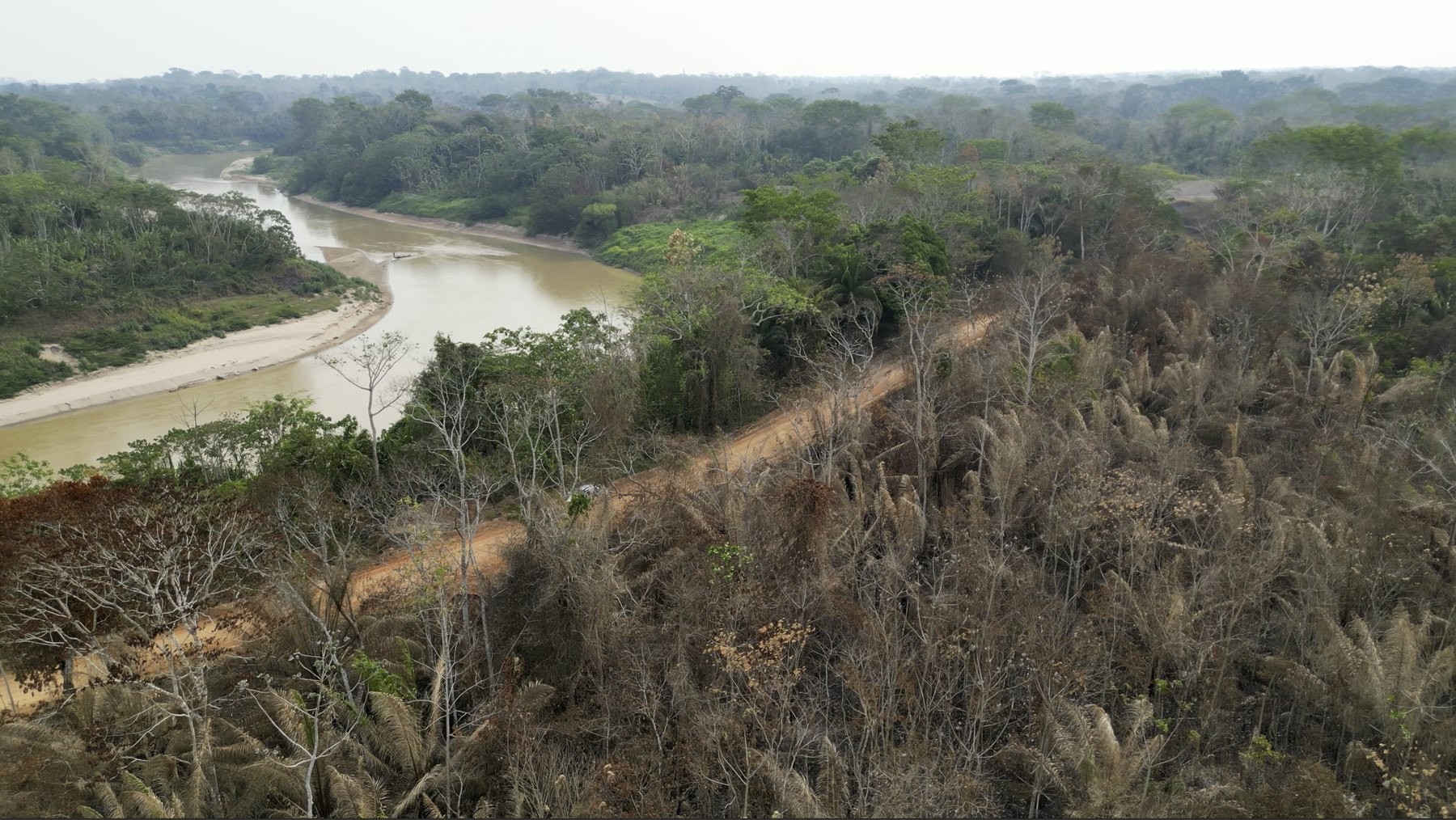 Aerial view of fire-degraded Amazon forest with dead trees and scorched palms above a river drawn down to exposed sandbars during drought, Acre, Brazil