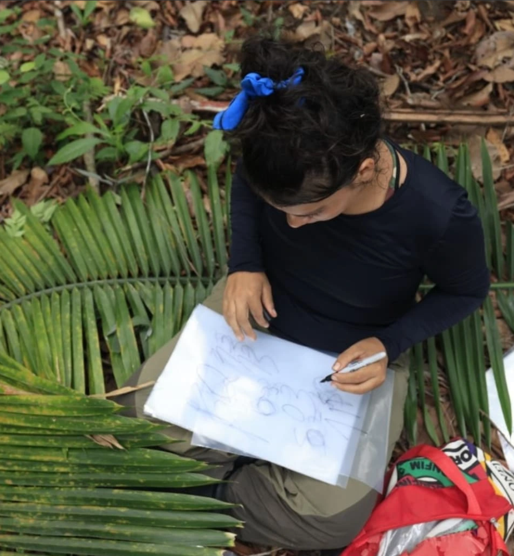 Lorena Fleury labelling soil sample bags during Amazon PyroCarbon Project fieldwork in central Amazonia, Manaus, 2024