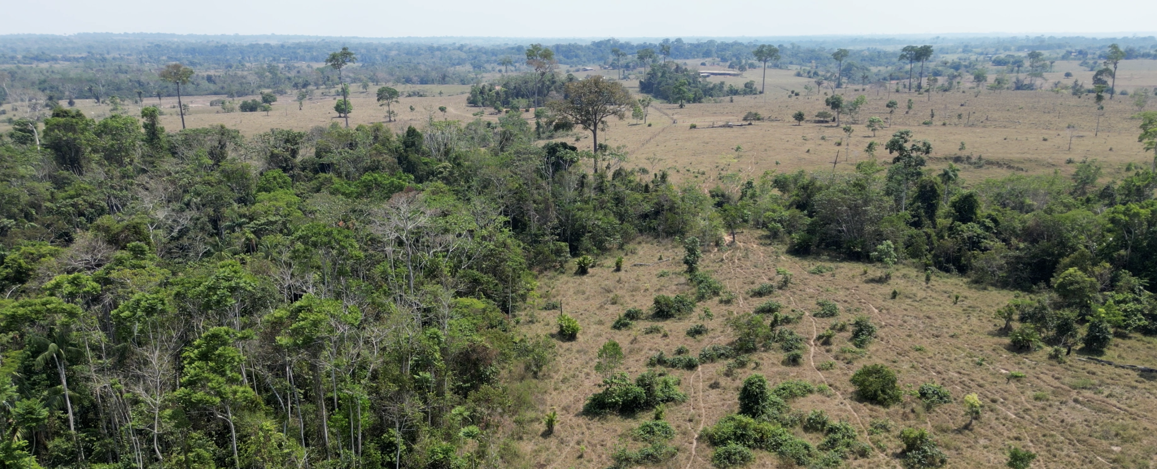 Forest converted to pasture, Brazilian Amazon