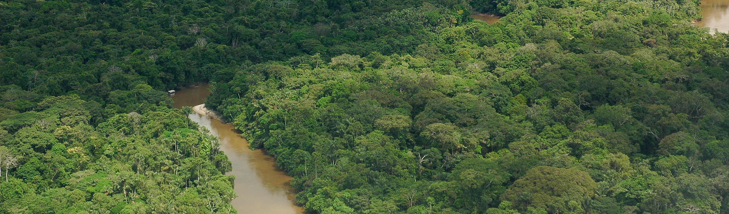 Aerial view of a river winding through Amazon rainforest canopy.