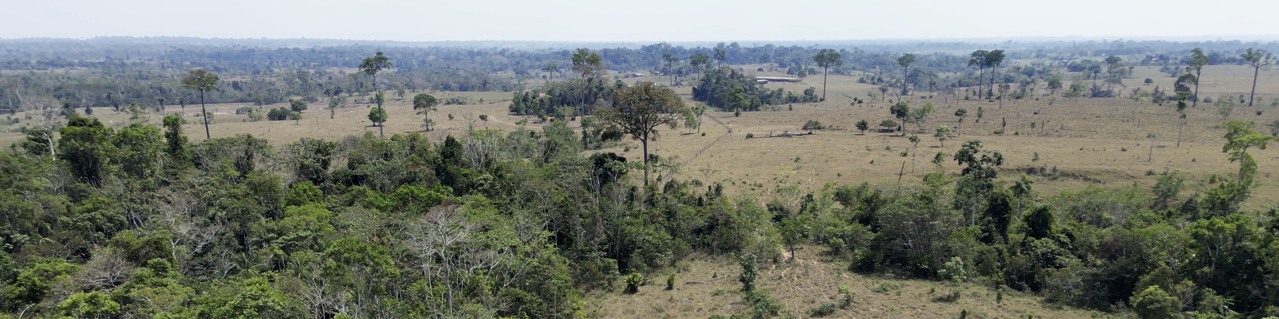 Fire-damaged forest edge and fragmented pasture in Acre, Brazil.