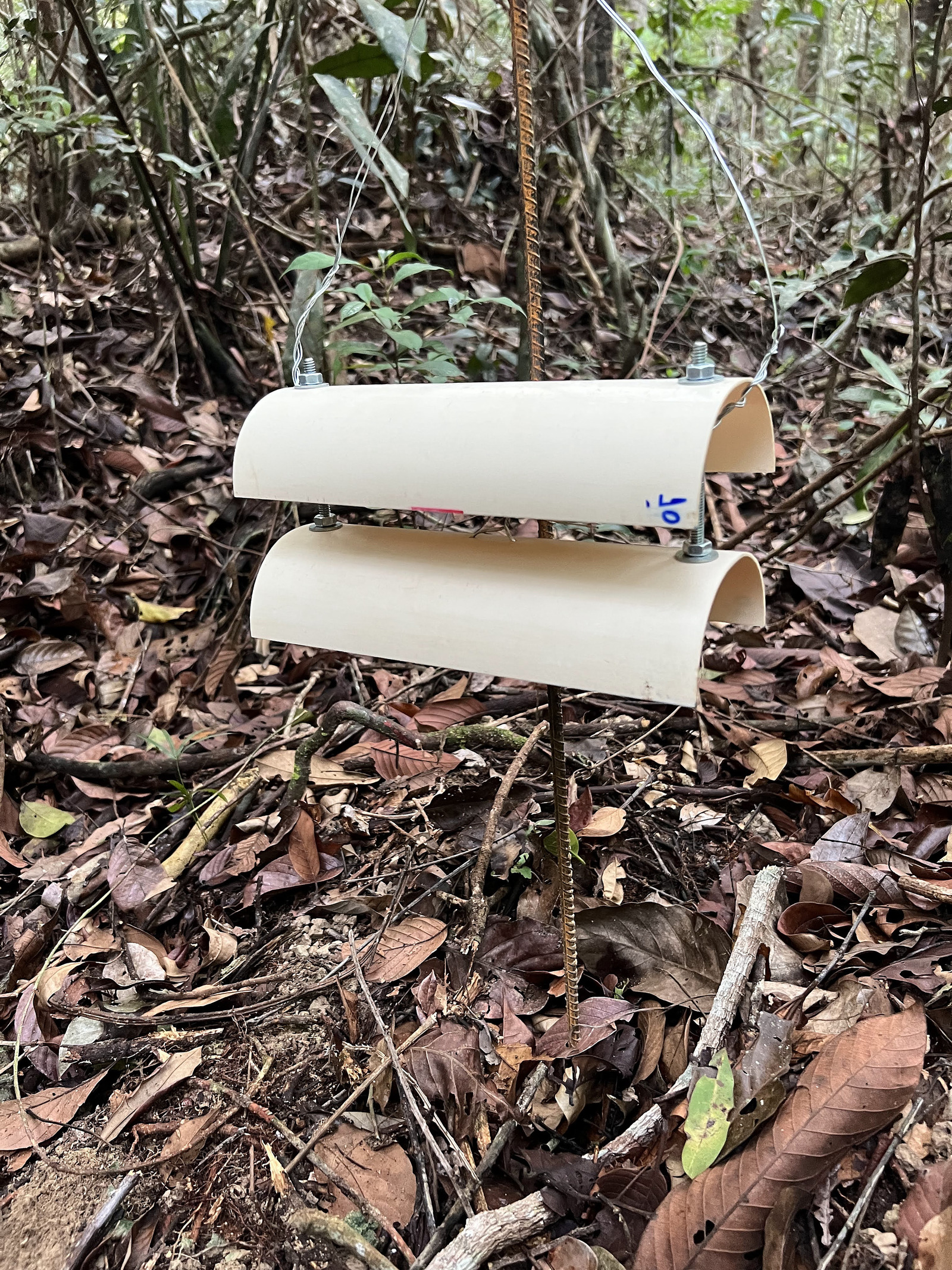 Two white half-pipes of PVC stacked one above the other on a metal rod on the forest floor, forming a radiation shield for a microclimate sensor.