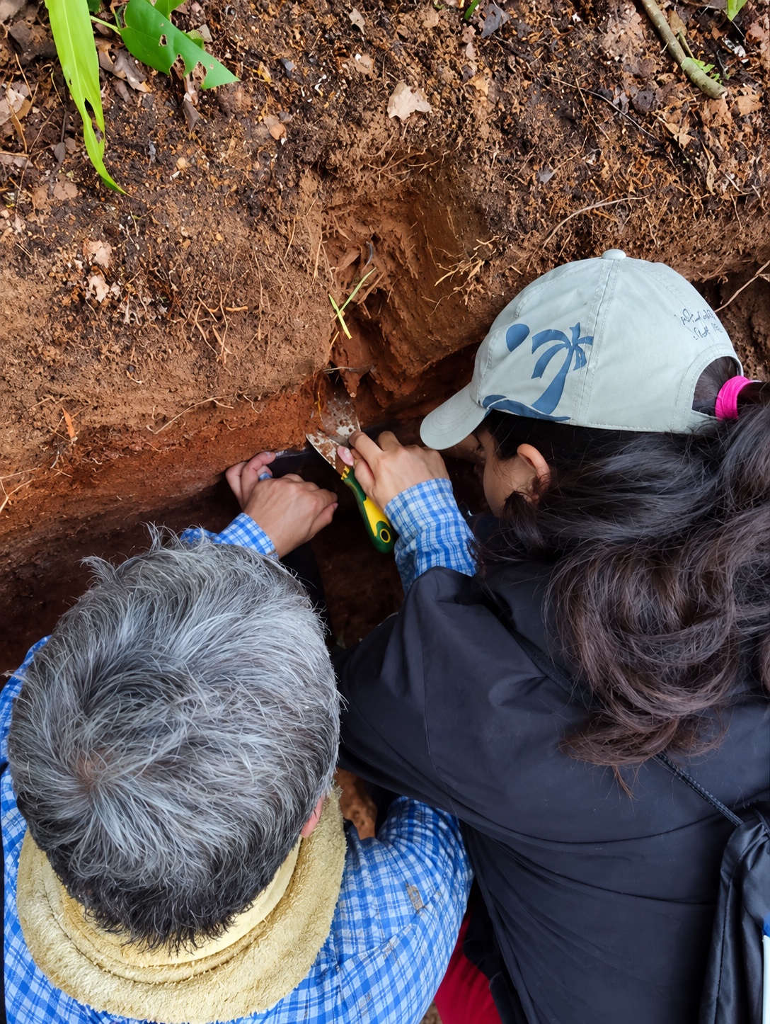 Researchers collecting soil samples from a soil profile during Amazon PyroCarbon fieldwork