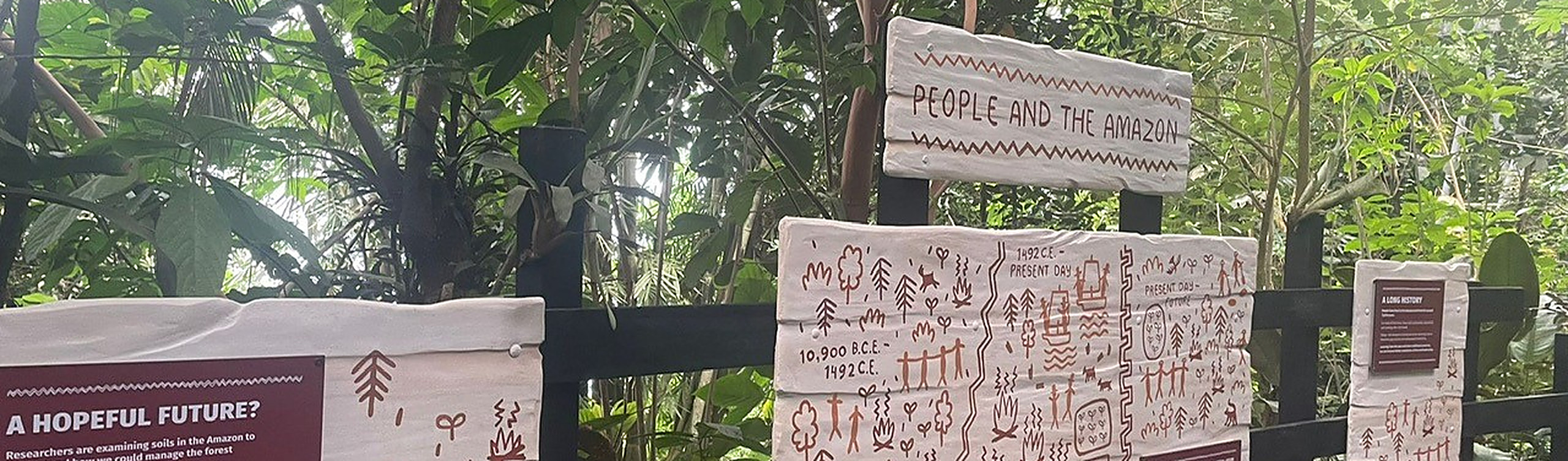 Exhibition panels titled People and the Amazon beside a path in the Eden Project rainforest biome.