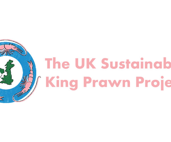 Open Innovation Platform: King Prawn Project