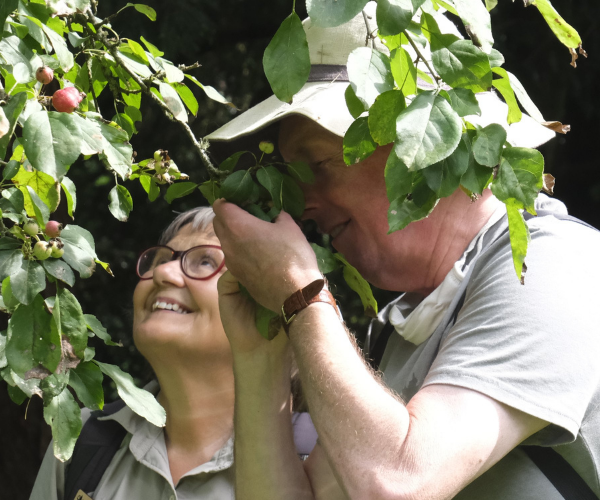 ESRC IAA: Sensing Nature Guided Walks