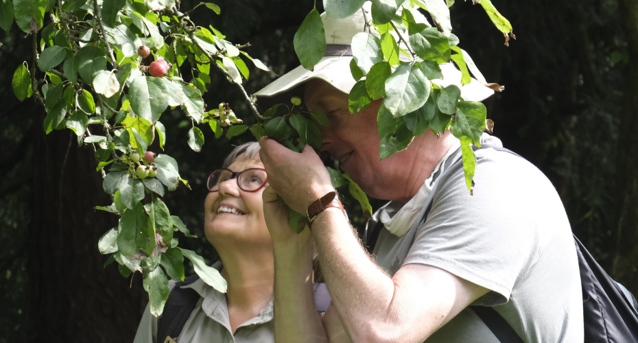 ESRC IAA: Sensing Nature Guided Walks
