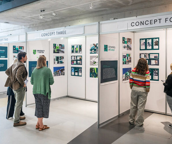 Why Brand Matters for SEO: How We Grew Bing Traffic by 25% In 6 Months