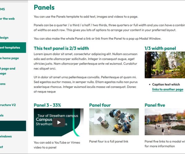 Using Panels in T4