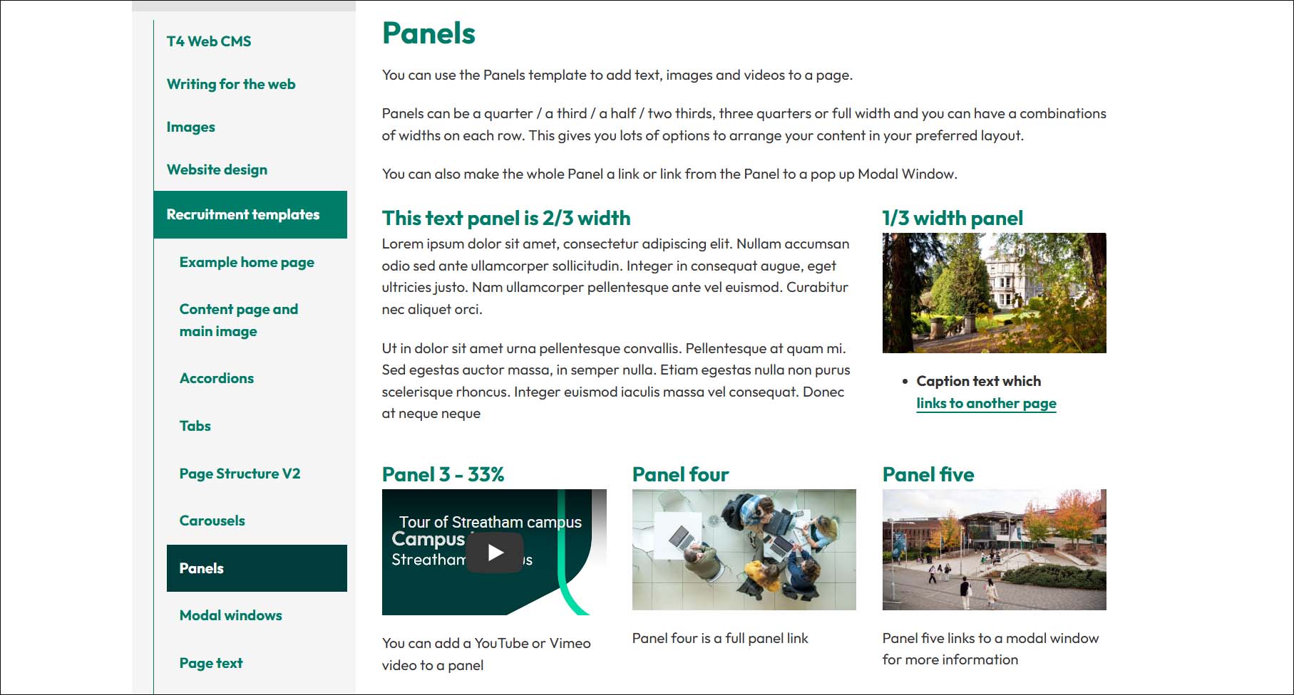 Using Panels in T4